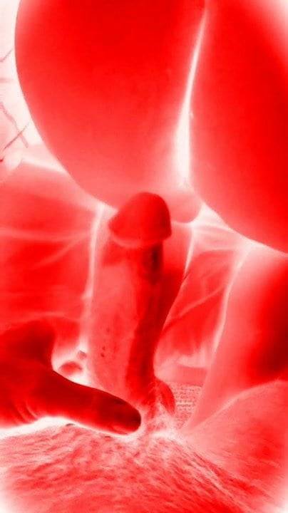 Anal - xhamster.com