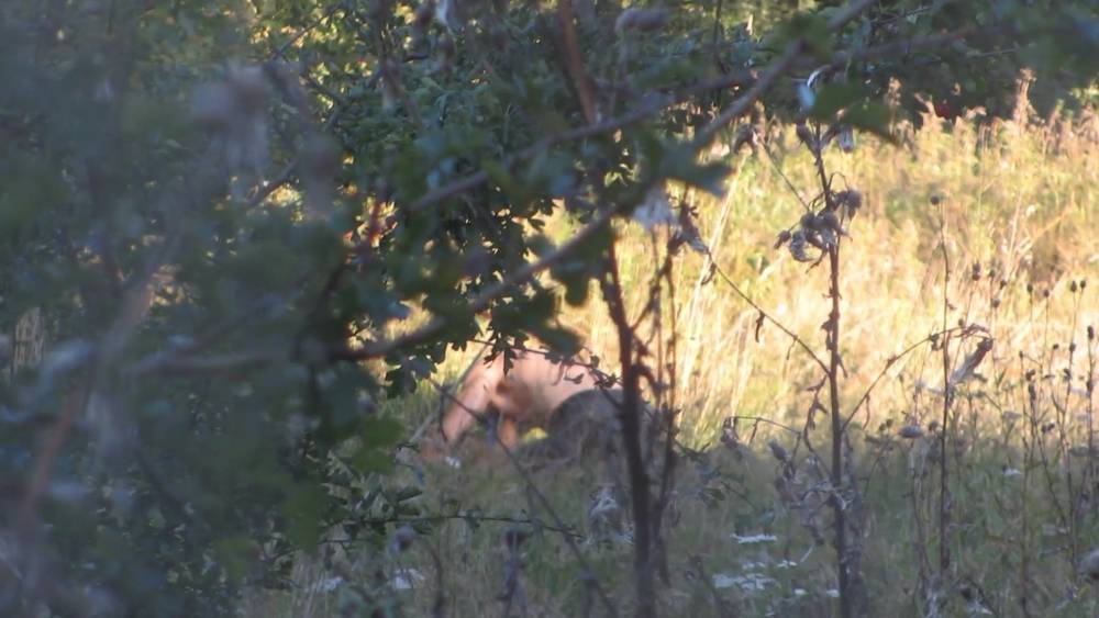 Spy Video Outdoor (Couple)(Denmark) - xh.video - Denmark