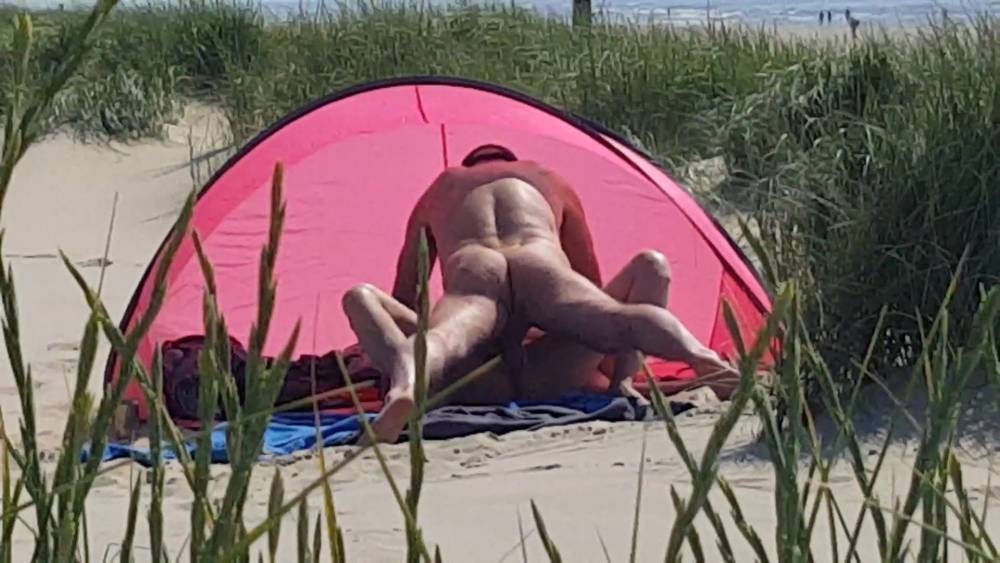 Sex at the beach - xh.video - Netherlands