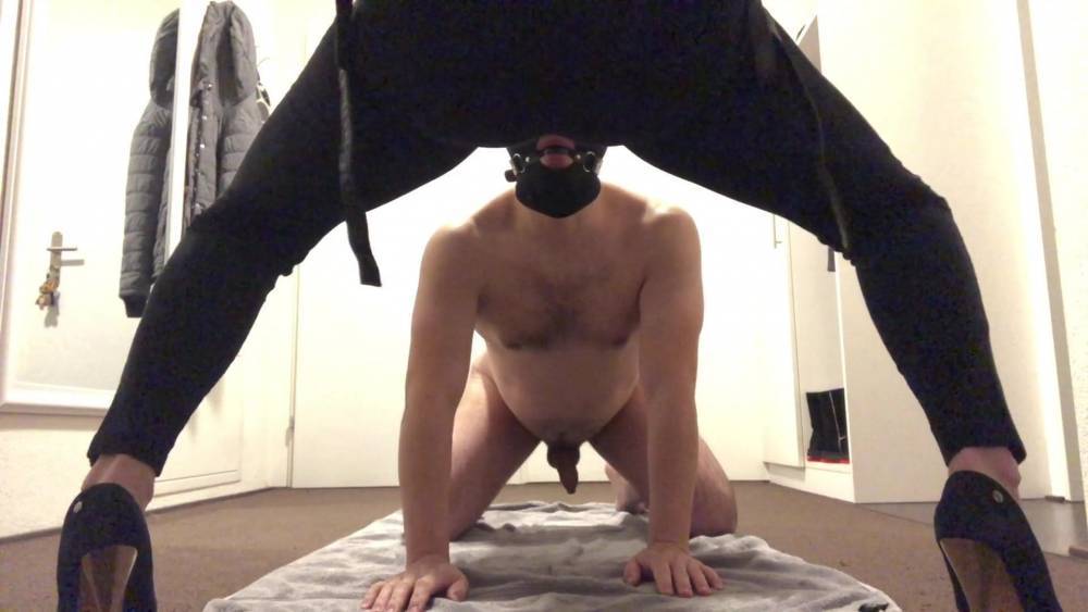 Riding my Strapon Whore - xh.video - Switzerland