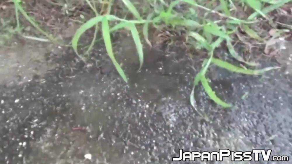 Japanese with big boobs peeing on parking and later in zoo - xh.video - Japan