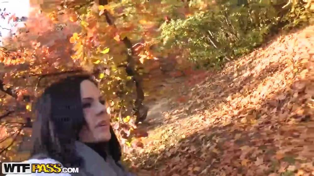 Dark haired milf was sucking a horny stranger’s big dick, while she was in the park - hotmovs.com