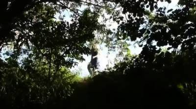 ein Spaziergang im Park im Fluss zu ficken - nvdvid.com - Germany