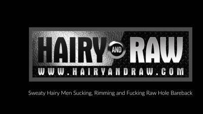 Sean - HAIRYANDRAW Hairy Hunks Hank Aarons And Sean Knight Bareback - nvdvid.com