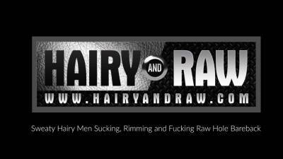 Sean - HAIRYANDRAW Hairy Men Scotty Rage And Sean Knight Raw Breed - nvdvid.com