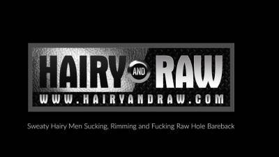 HAIRYANDRAW Sailor Blue And Bone Flexx Raw Breed In Threeway - nvdvid.com