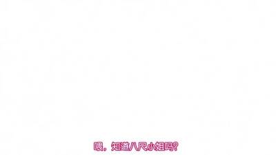 Mix of Hentai movs from Hentai Niches - nvdvid.com