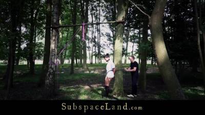 Busty brunette is bound and fucked hard in the woods - bdsm.one