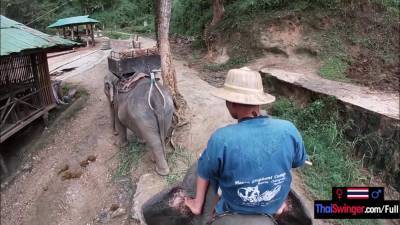 Elephant riding in Thailand with teen couple who had sex afterwards - hotmovs.com - Thailand