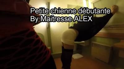 Petite chienne debutante - drtvid.com