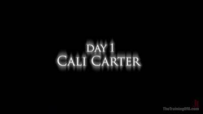 Cali Carter - Xxx Bdsm Slave Training - Cali Carter - hclips.com
