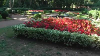 Public Sex With Hot Blonde In The Park - hclips.com