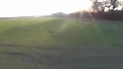 Duerre Joggingfotze Draussen Weggeballert - hclips.com