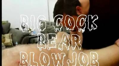 Big Cock Bear Blowjob - icpvid.com