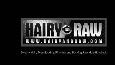 HAIRYANDRAW Daddy Dante Kirkdale Raw Breeds Sebastian Sax - icpvid.com