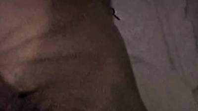 Straight stud tugs before blown by DILF - webmaster.drtuber.com