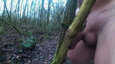 forest - webmaster.drtuber.com