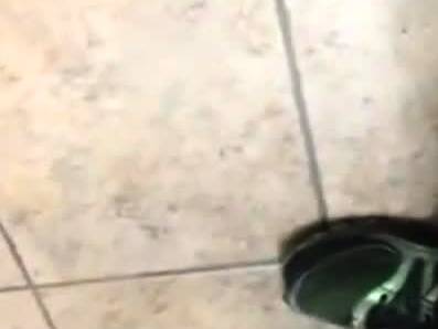 Understall Cock Play - webmaster.drtuber.com