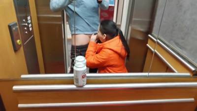 Public Blowjob In The Elevator With Hot Girl - hclips.com