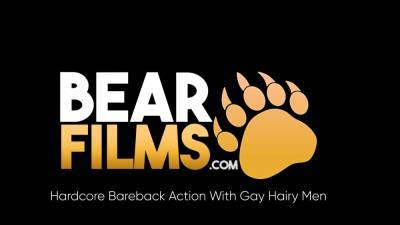Chris - BEARFILMS Bearded Bear Lion Reed Raw Breeds Chris Mitchel - nvdvid.com