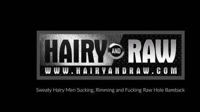 Alex - HAIRYANDRAW Bearded Brendan Patrick Raw Breeds Gay Alex Hawk - webmaster.drtuber.com