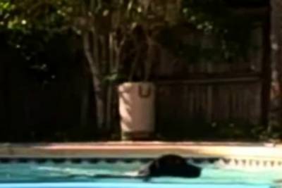 Amateur Couple Fooling Around In The - nvdvid.com