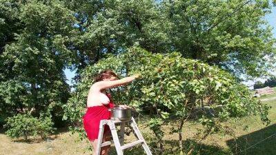 Topless Brunette Picking Cherries From The Tree - hclips.com