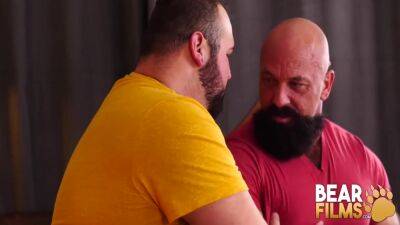 Jayson West And Rex Blue In Chubby Rex Barebacked By Bearded Bear 24 Min - upornia.com