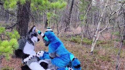 Horny Furries Fuck In The Wild - upornia.com