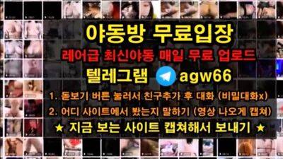BDSM, MS, FS, telegram, agw66, xvideo, spang, korea, korean - drtuber.com - Japan - North Korea