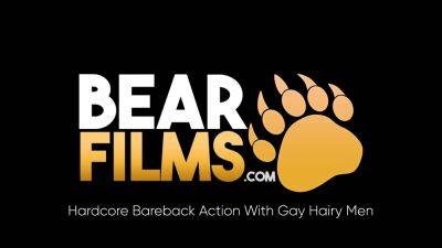 BEARFILMS Hairy Luke Harding And Mickey Carpathio Bareback - drtuber.com