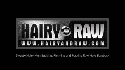 Angel - HAIRYANDRAW Tristan Riant And Matthieu Angel Breed In 3way - icpvid.com