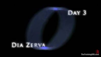 Training Of Day 3 With Dia Zerva - upornia.com