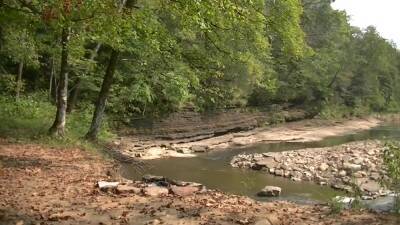 Horny In Nature - hclips.com