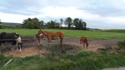Web─≥re Gonna Need A Tractor - upornia.com - Germany