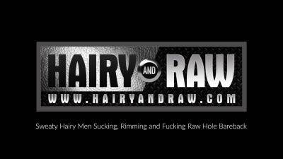 HAIRYANDRAW Amir Badri And Marcus Isaacs Bareback In 3way - drtuber.com