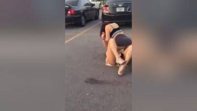 Cat Fight - hclips.com