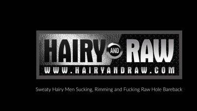 HAIRYANDRAW Hairy Amir Badri And Marcus Isaacs Breed Raw - drtuber.com