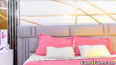 Slim Babe Rides Her Sex Toy On Cam - hclips.com