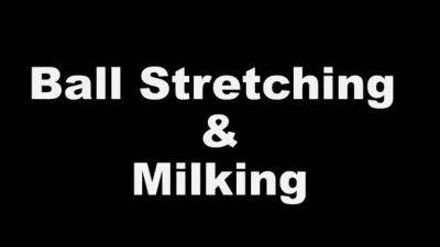 Kinky Mistresses - Ballstretching and Milking - Tatjana - drtuber.com