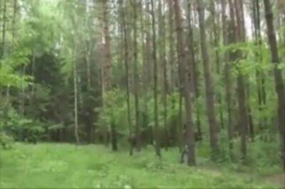 Blowjob In The Wood - hotmovs.com