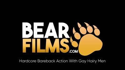 BEARFILMS Chubby Bear Lanz Adams Bred Raw By Chuck Collier - drtuber.com