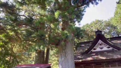 [open -air Bath With Mt. Fuji Shizuoka] - upornia.com - Japan