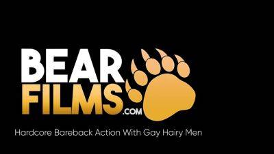 BEARFILMS Redhead Tiger Breeds Daddy Bear Frenchey Pharoah - drtuber.com