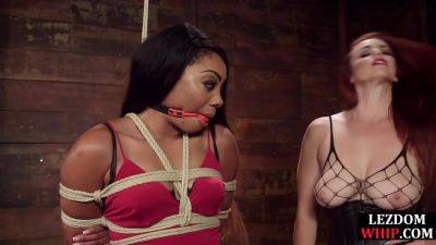 Sub Ebony dyke strapon fucked by lezdom MILF in lingerie - hotmovs.com