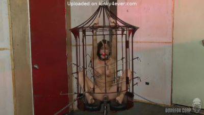 In Cage All Night - upornia.com