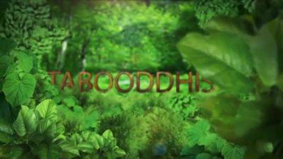 Taboodhist - Better Than A Stepbrother - Stephie Staar And Ivy Wolfe - hotmovs.com