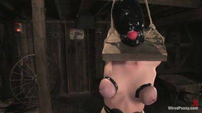 Cherry Torn Gets Her Pussy Wired - Kink - hotmovs.com