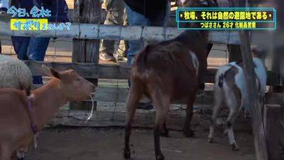0005145_バキュームフェラ 乳首舐め手コキ 黒パンスト破り ほか - txxx.com - Japan