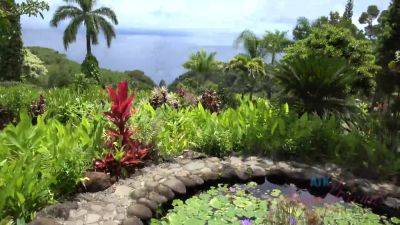 Virtual Vacation In Hawaii With Moka Mora Part 5 - hotmovs.com - Usa